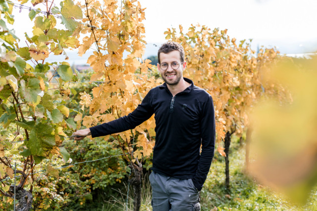 Sebastian Schmidt in den herbstlichen Weinreben vom Weingut Schmidt. Er übernahm das Weingut seiner Eltern und hat längst das Potential dieser Weinregion erkannt.