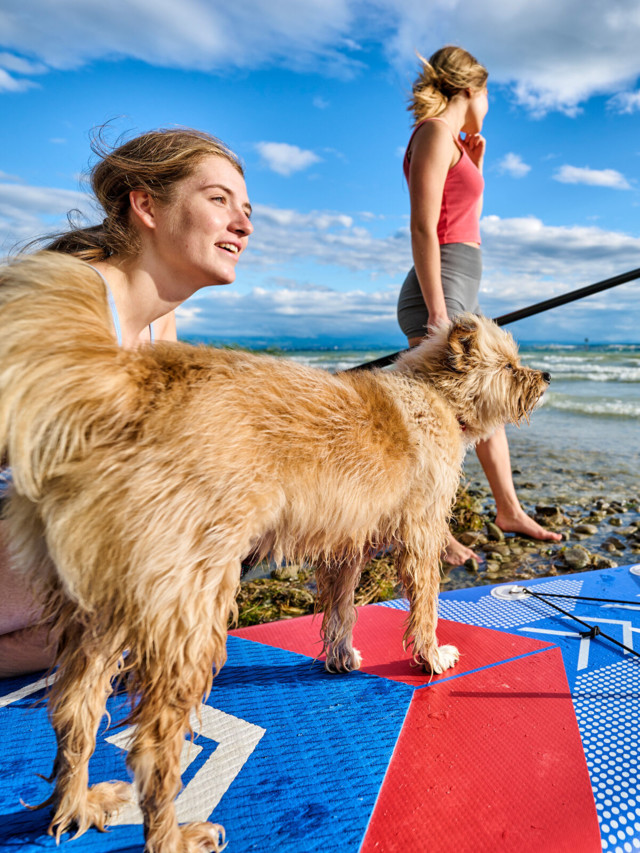 Stand Up Paddling mit Hund auf dem Bodensee