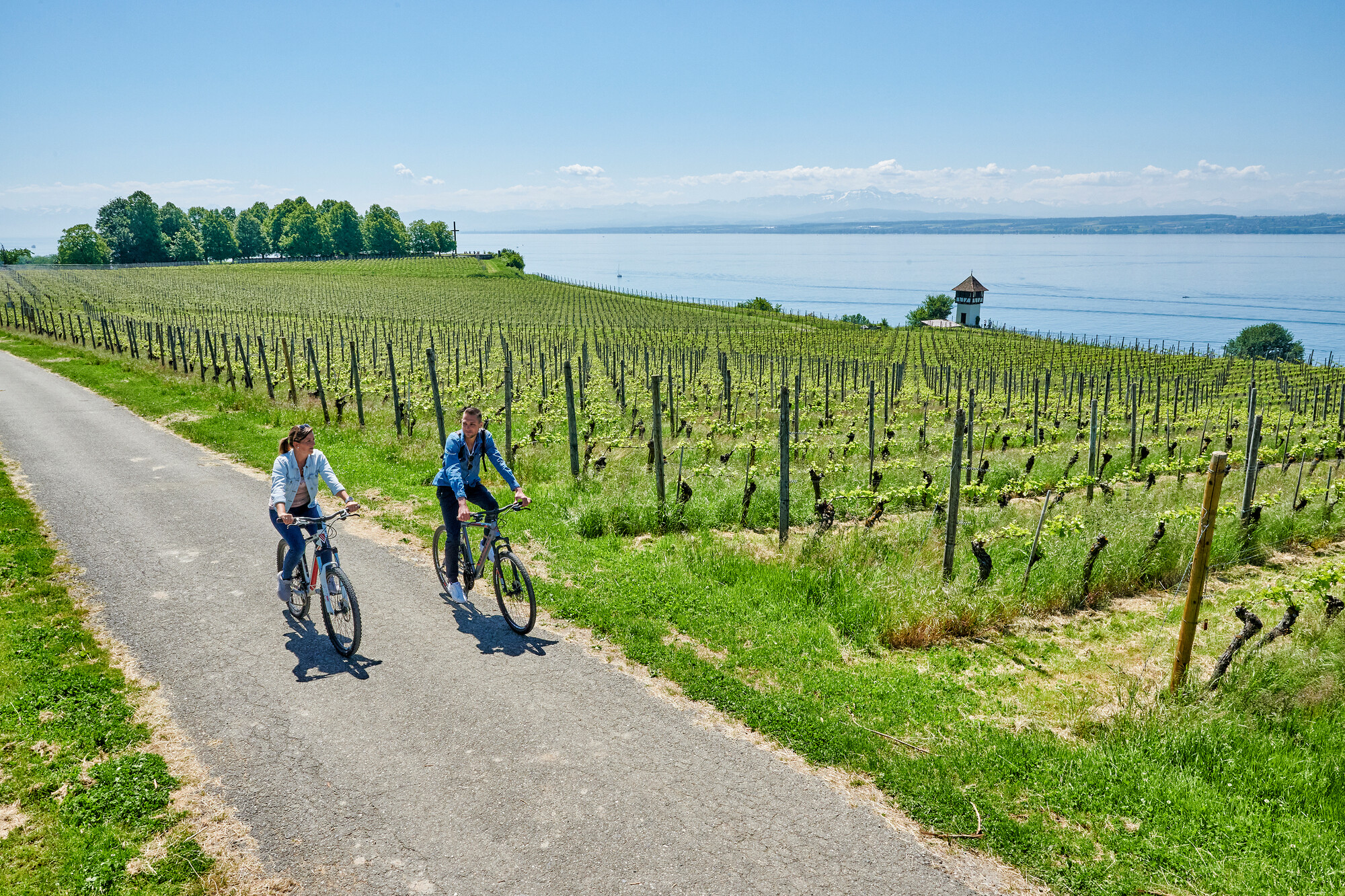 Genießen Sie eine Fahrradtour mit atemberaubenden Ausblicken auf den Bodensee!