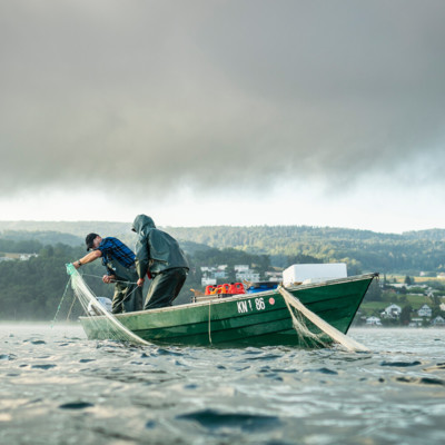 Ein Bodenseefischer wirft geschickt sein Netz aus, auf der Suche nach frischem Fang im klaren Wasser des Bodensees